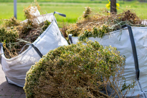 Best Shed Removal  in Wedgefield, FL